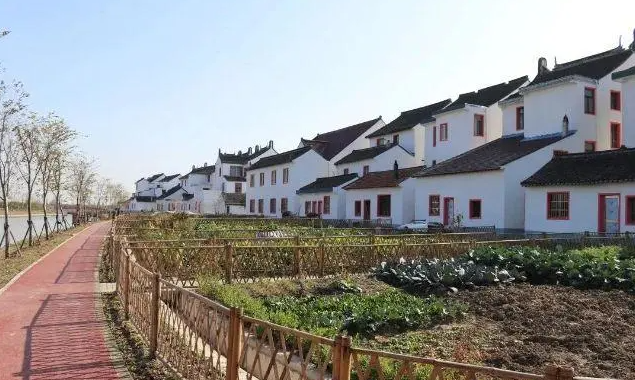 金山廊下新农村